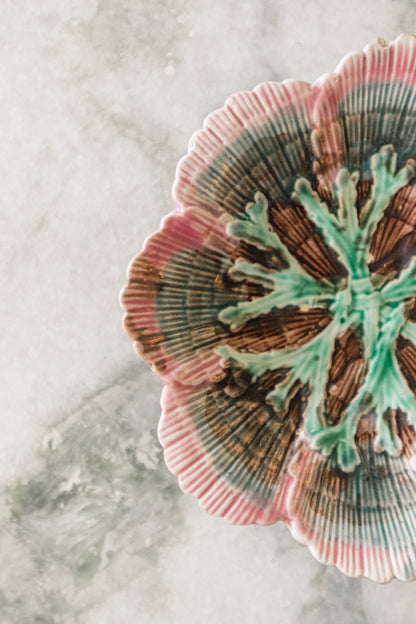 Small Shell Majolica Plate
