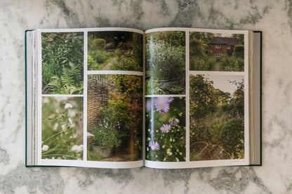 Wonderlands