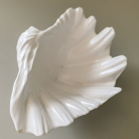 Shell Dish