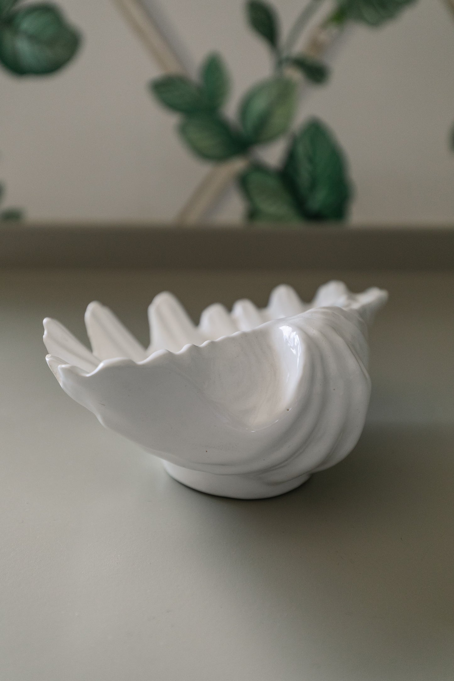 Shell Dish