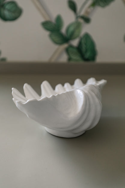 Shell Dish