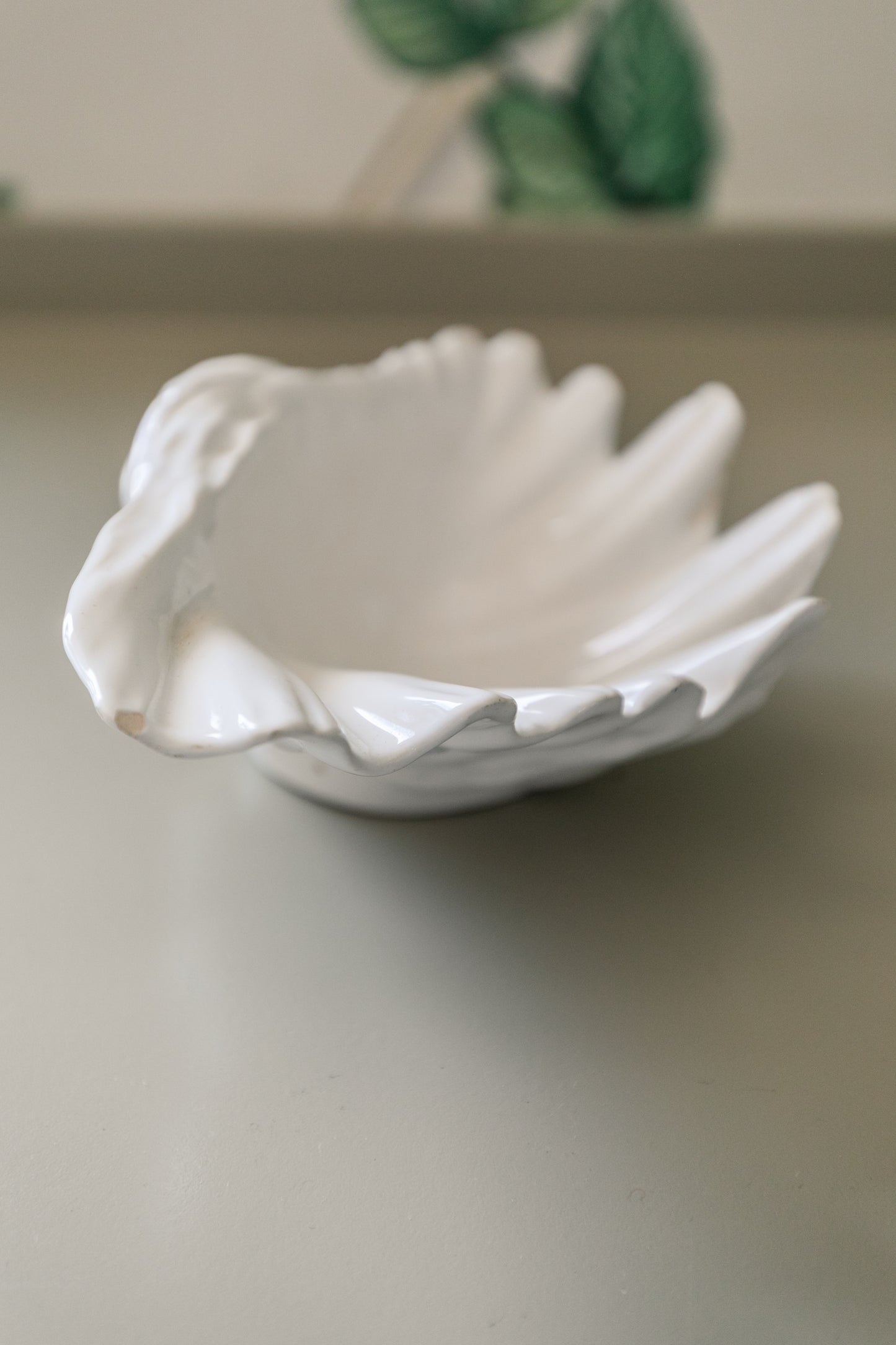 Shell Dish