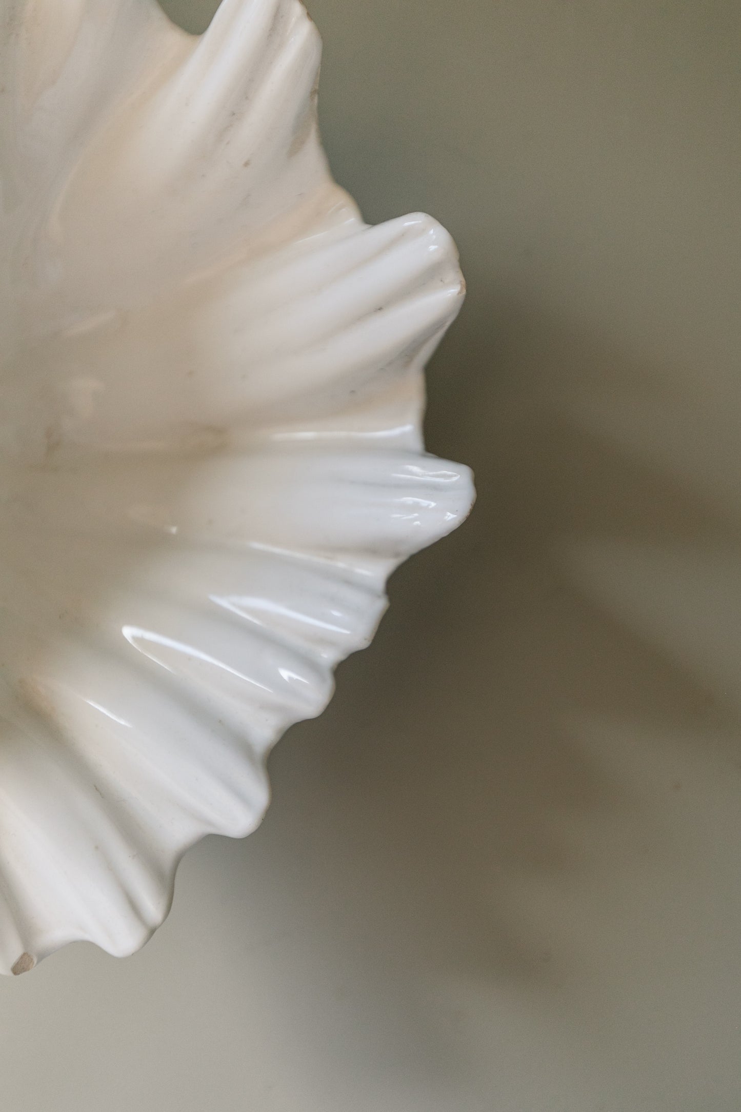 Shell Dish