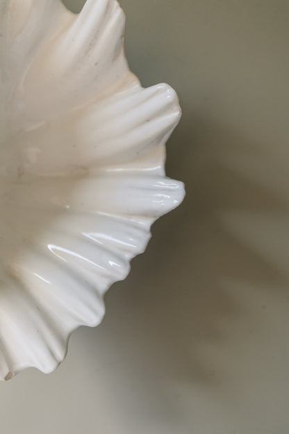 Shell Dish