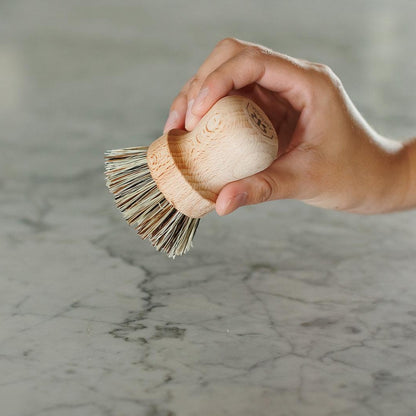 Pot Brush
