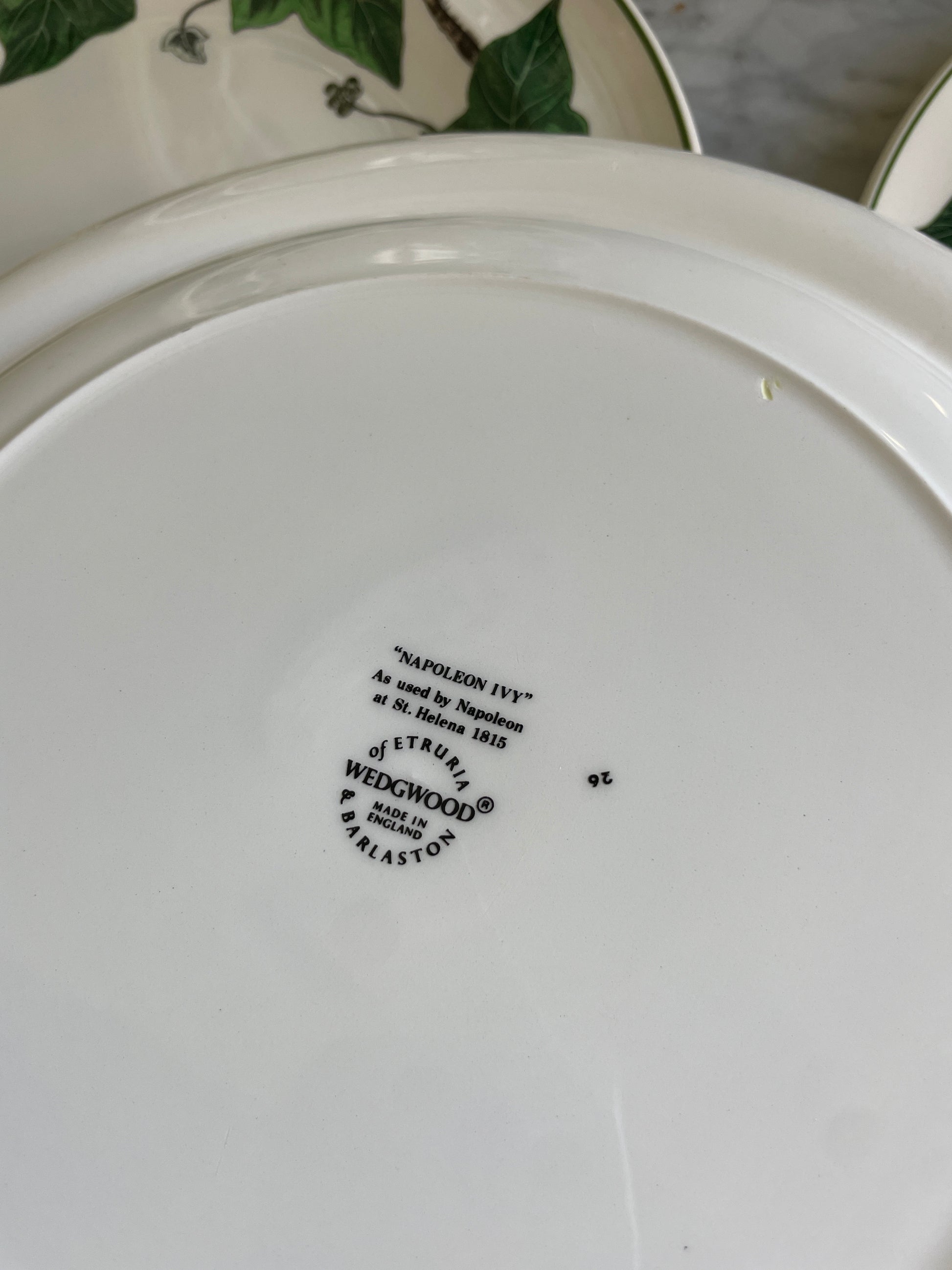 Wedgwood Ivy Dinner Plates (6 available)