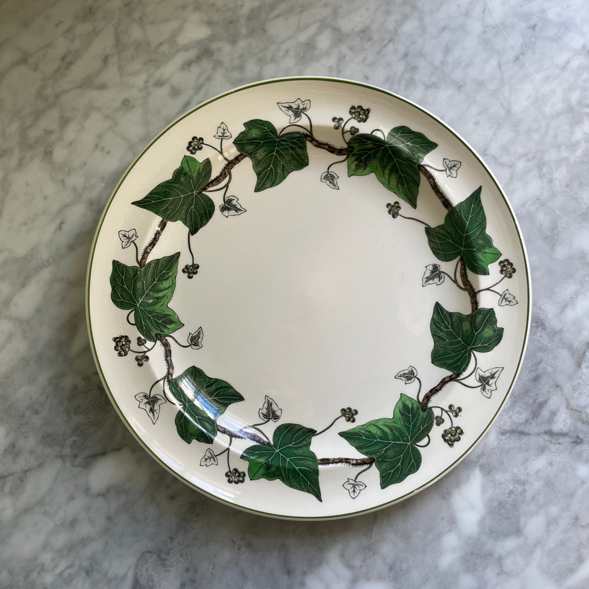 Wedgwood Ivy Dinner Plates (6 available)