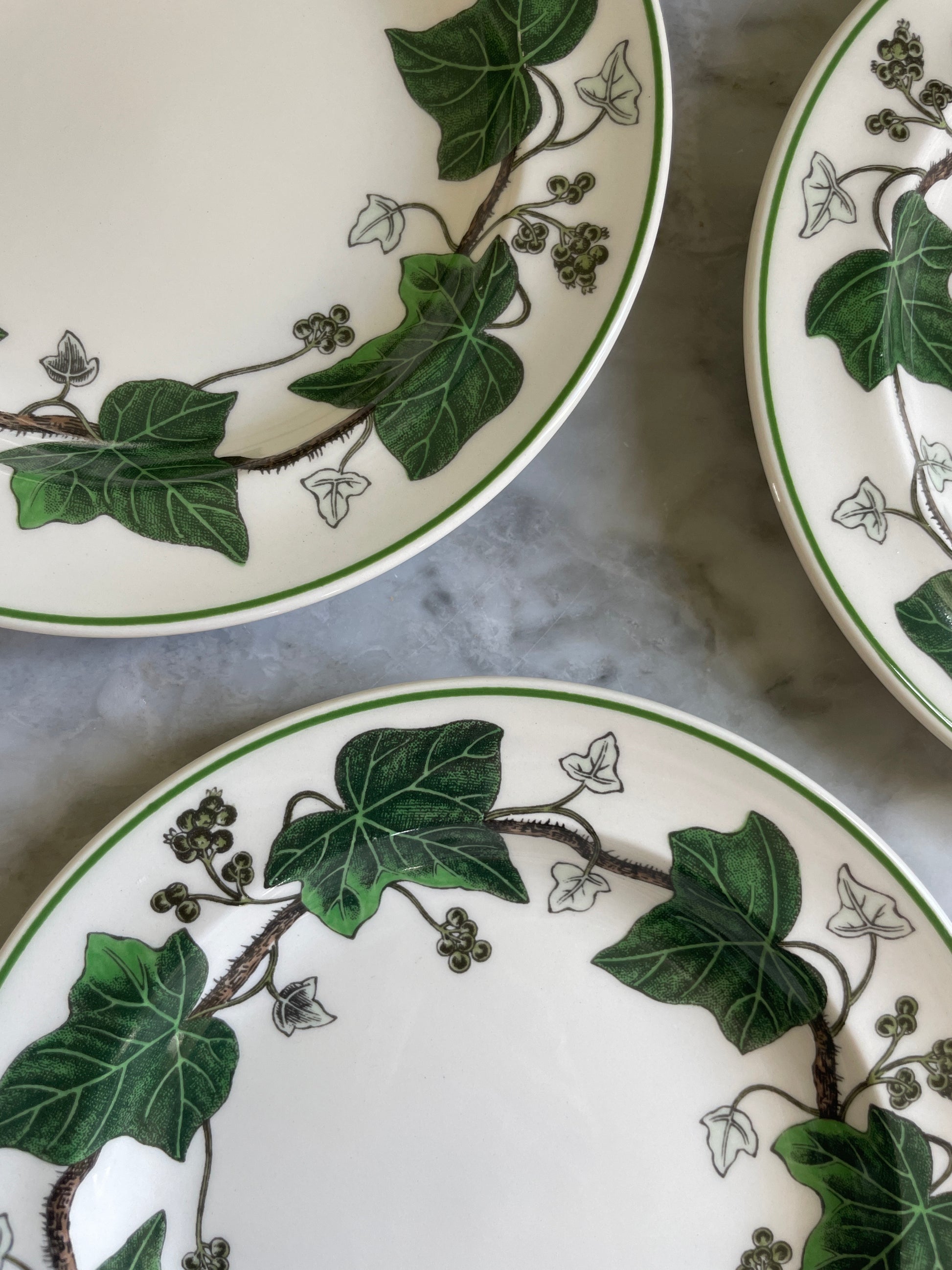 Wedgewood Ivy Bread & Butter Plates (6 available)