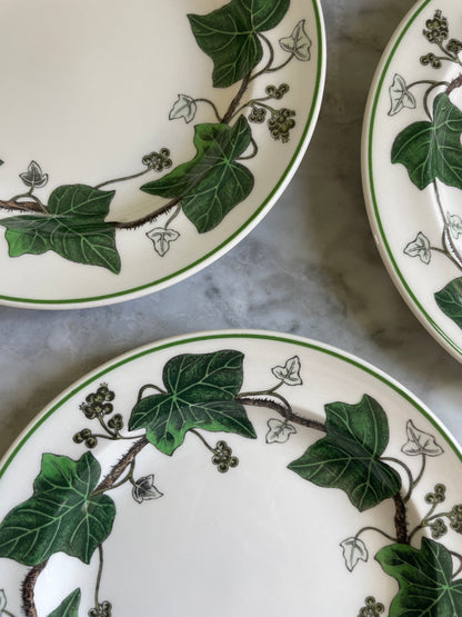 Wedgewood Ivy Bread & Butter Plates (6 available)