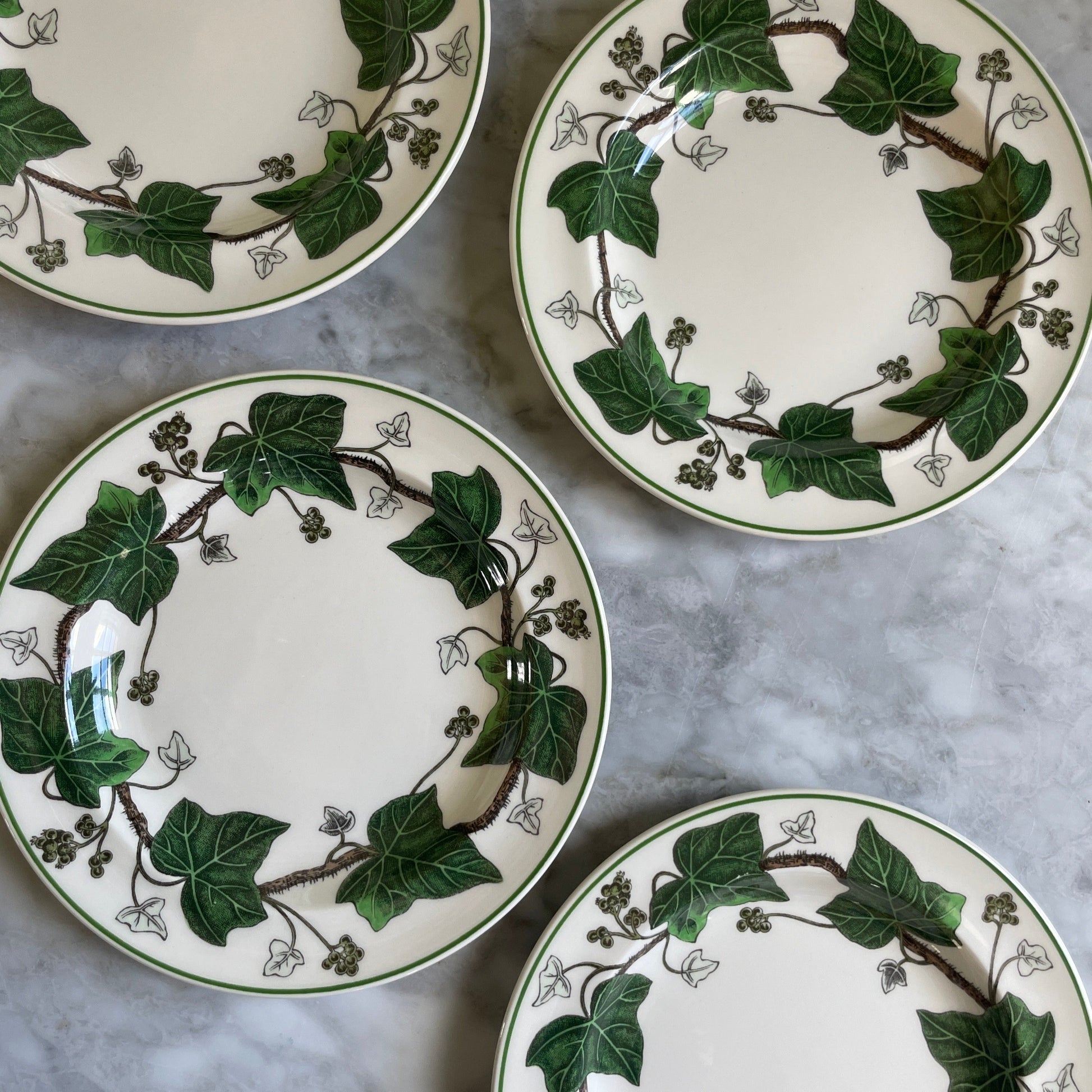 Wedgewood Ivy Bread & Butter Plates (6 available)