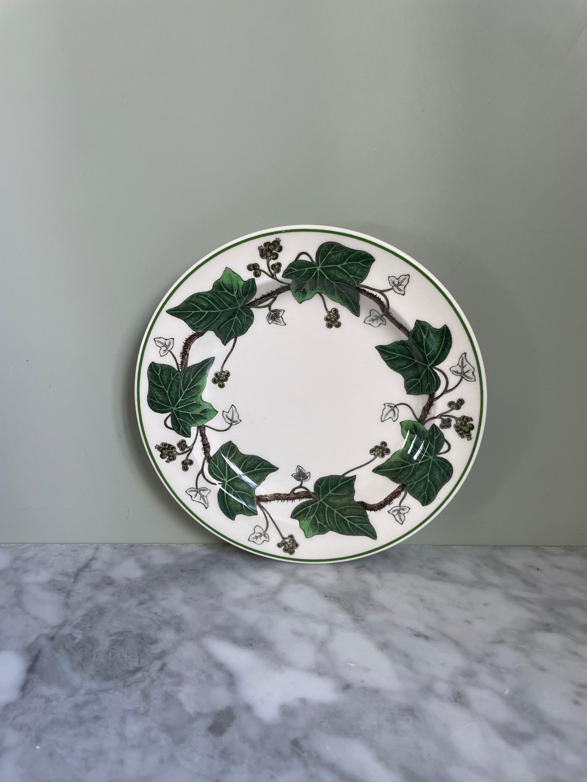 Wedgewood Ivy Bread & Butter Plates (6 available)
