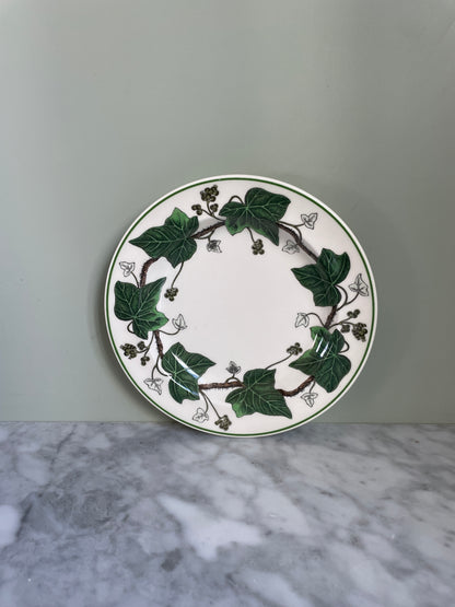 Wedgewood Ivy Bread & Butter Plates (6 available)