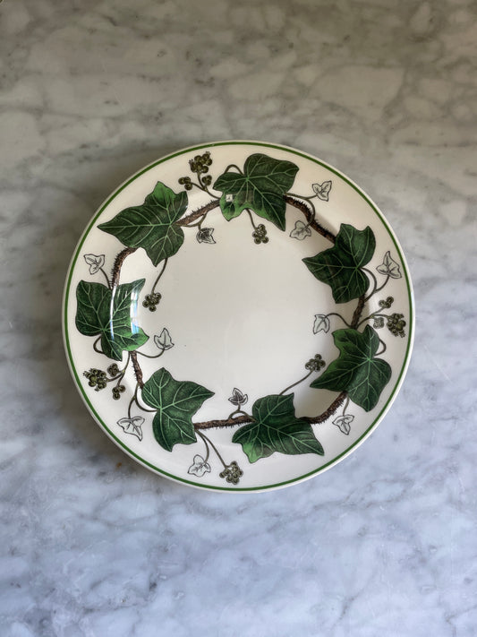 Wedgewood Ivy Bread & Butter Plates (6 available)