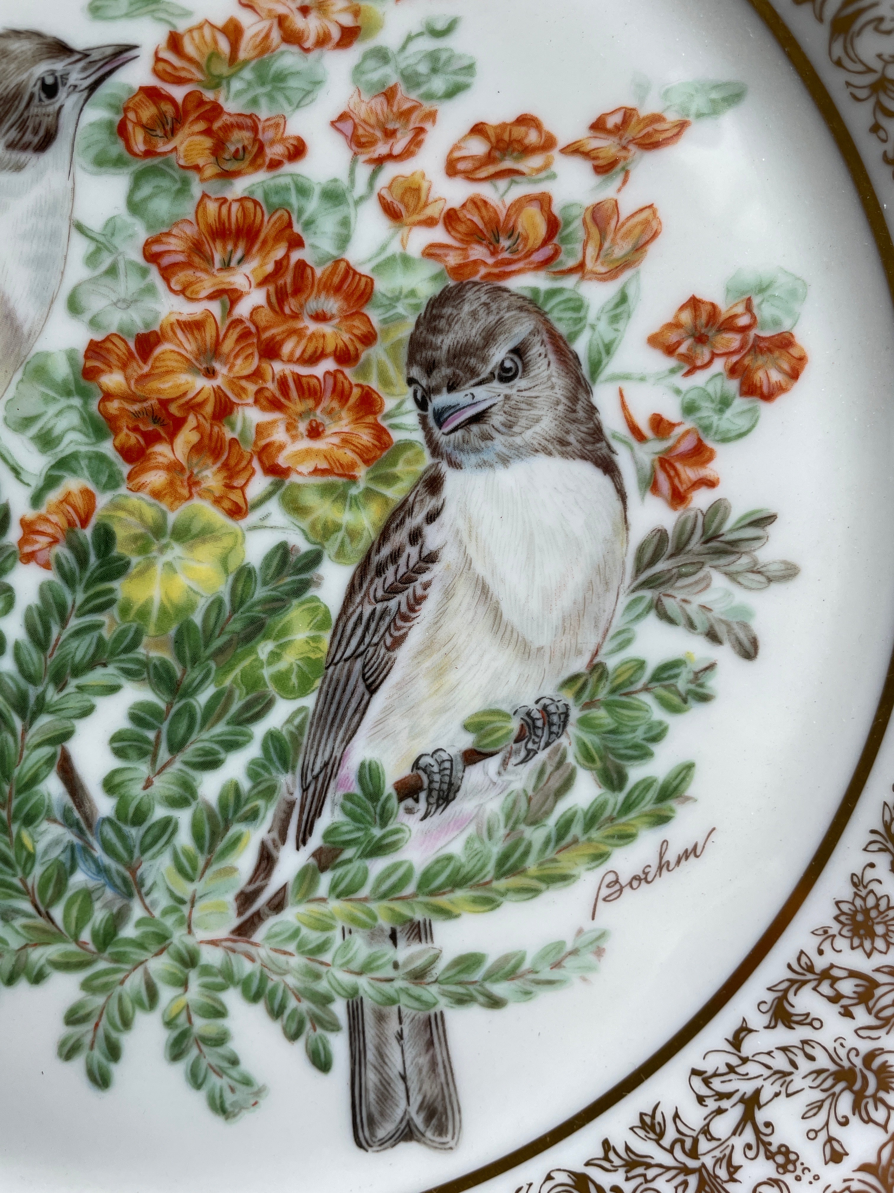 Boehm bird plates hotsell